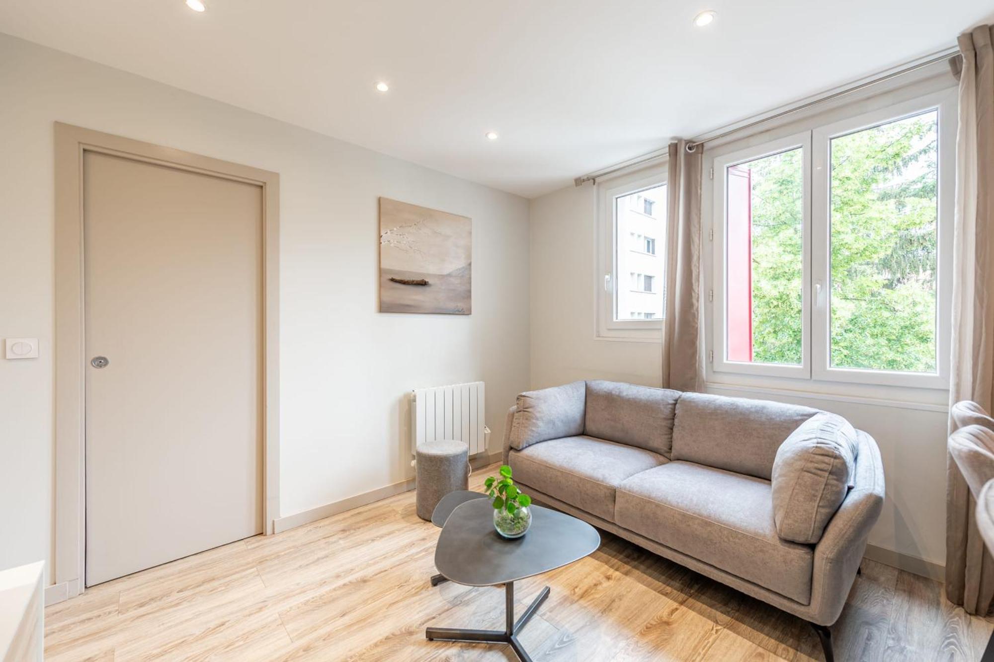 Rio Appartement Au Centre Ville Annecy Ngoại thất bức ảnh